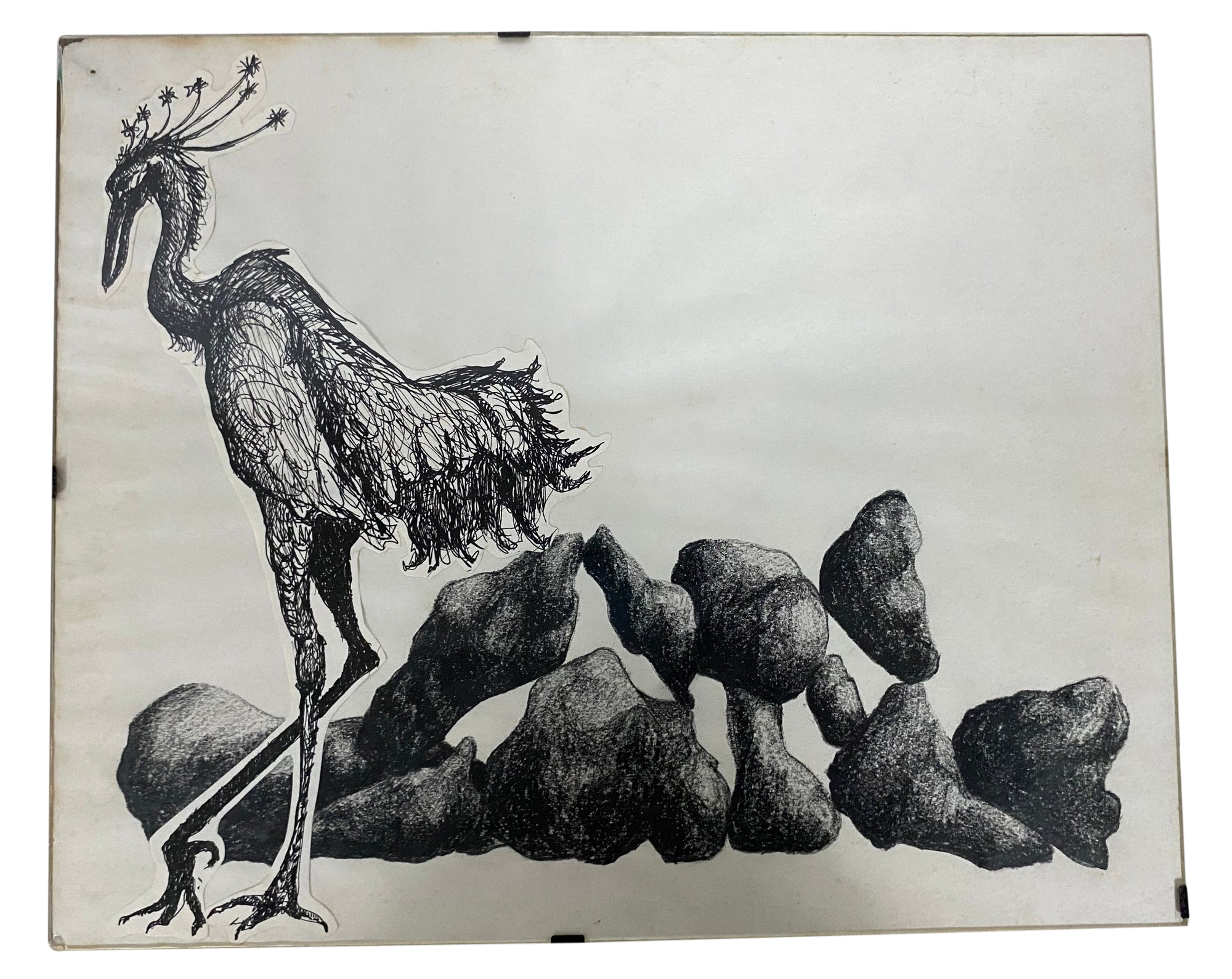 Ink drawing of a bird on rocks